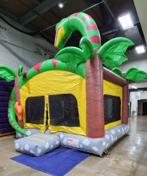 324741294 1881865118844486 3506453770142276439 n 1714232680 Dinosaur Bounce House